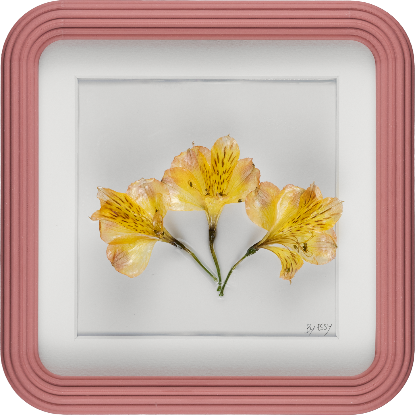 'ALSTROEMERIA' (Peruvian lily)