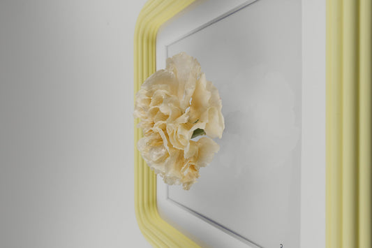 'CLAVEL' (Carnation)