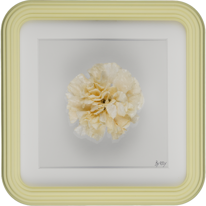'CLAVEL' (Carnation)