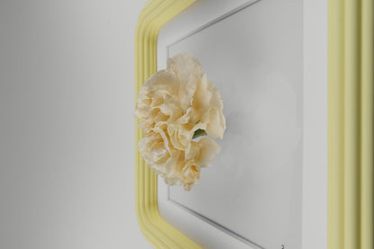 'CLAVEL' (Carnation)